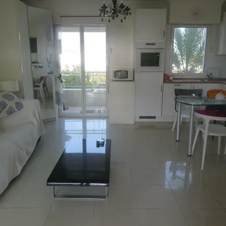 Stunning 2 Bed, 2 Bath On The Sea Front Has Swimming Pool And Is A Secure Modern Building 464 * Cannes